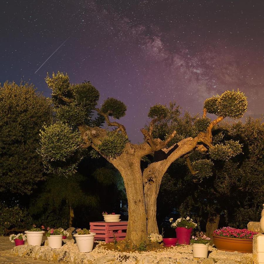 Villa Dei Fiori Локоротондо Екстер'єр фото